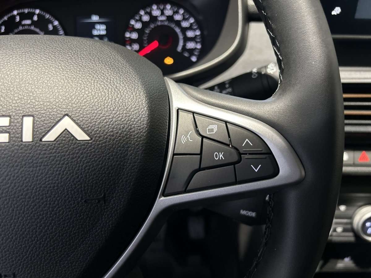 Fahrzeugbild eines Dacia Jogger