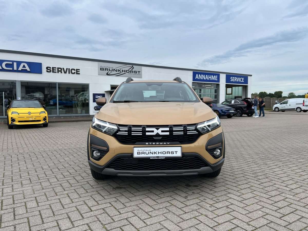 Fahrzeugbild eines Dacia Sandero