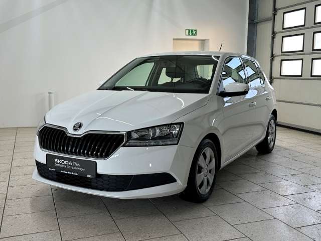Fahrzeugbild eines Skoda Fabia