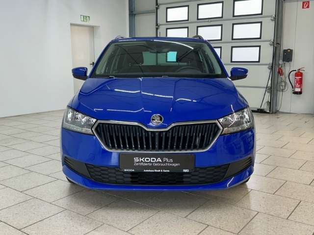 Fahrzeugbild eines Skoda Fabia