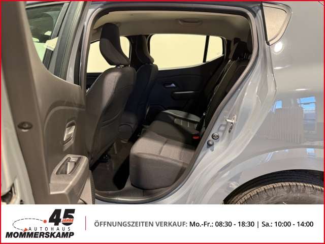 Fahrzeugbild eines Dacia Sandero