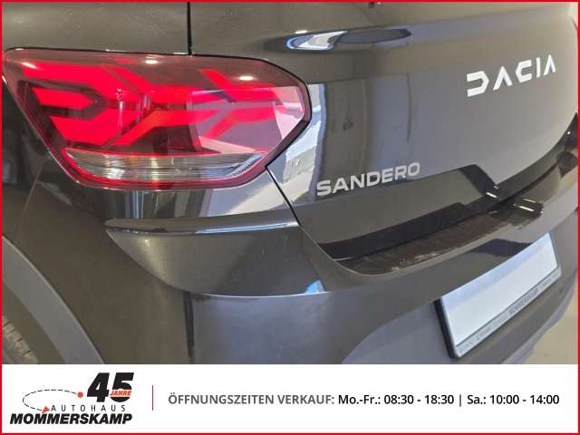 Fahrzeugbild eines Dacia Sandero