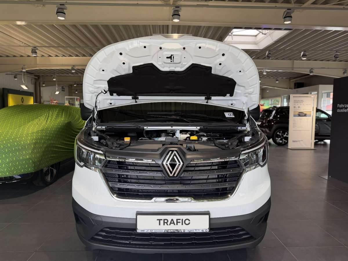 Fahrzeugbild eines Renault Trafic