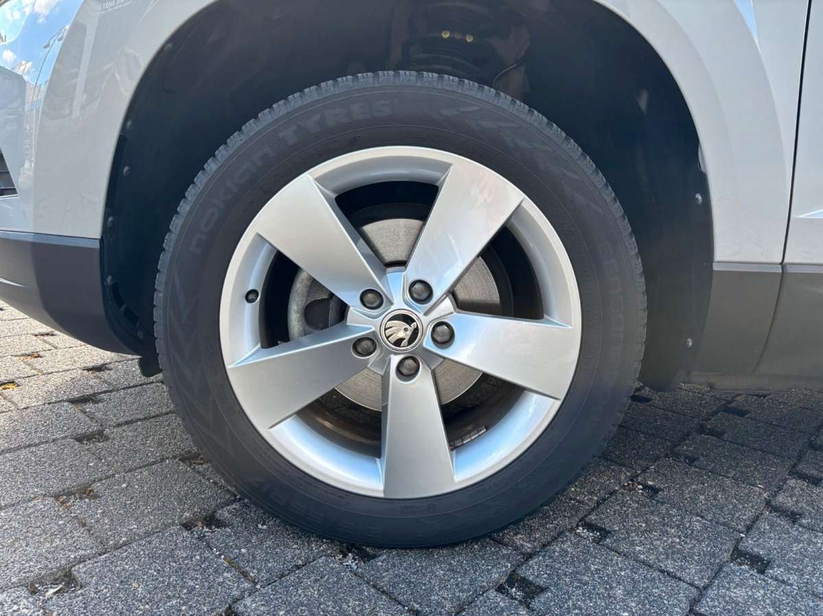 Fahrzeugbild eines Skoda Karoq