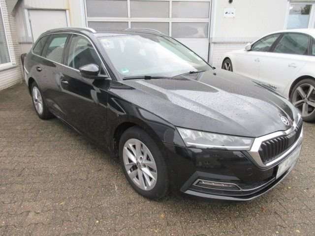 Fahrzeugbild eines Skoda Octavia
