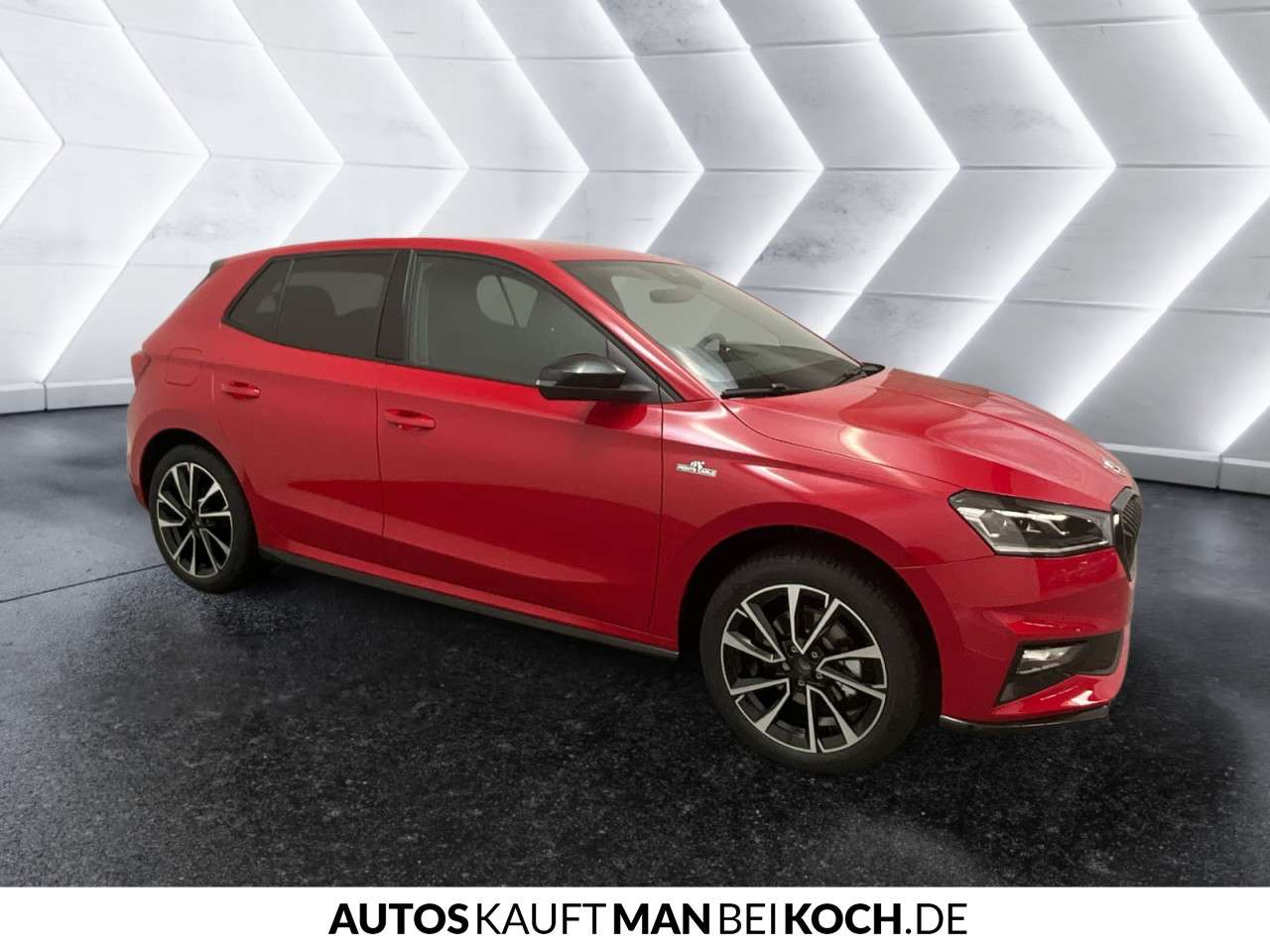 Fahrzeugbild eines Skoda Fabia