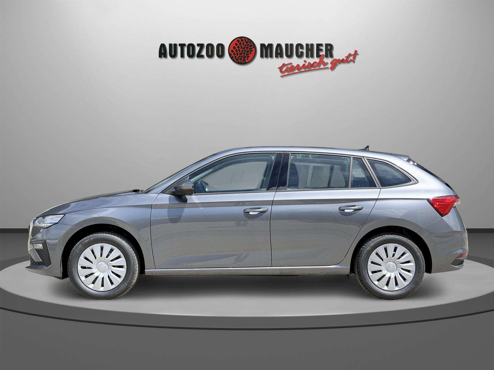 Fahrzeugbild eines Skoda Scala
