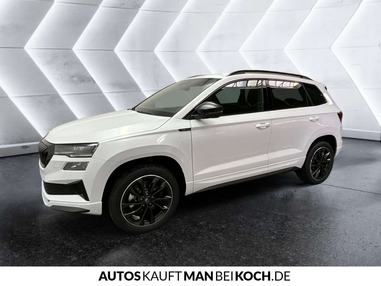 Fahrzeugbild eines Skoda Karoq