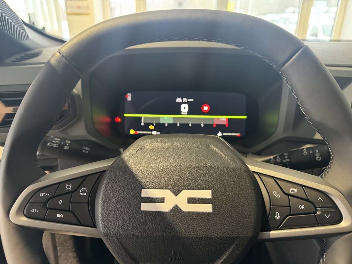 Fahrzeugbild eines Dacia Bigster