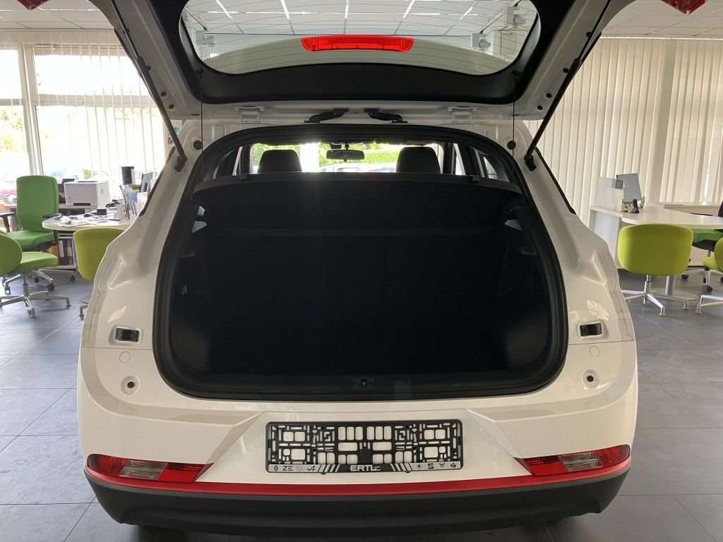 Fahrzeugbild eines DFSK Fengon 500