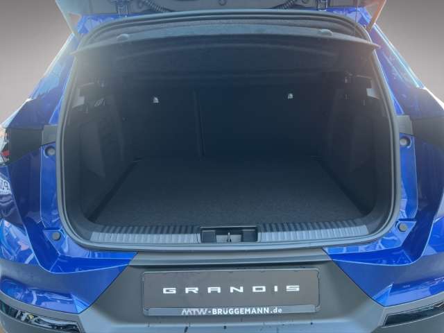 Fahrzeugbild eines Mitsubishi Grandis