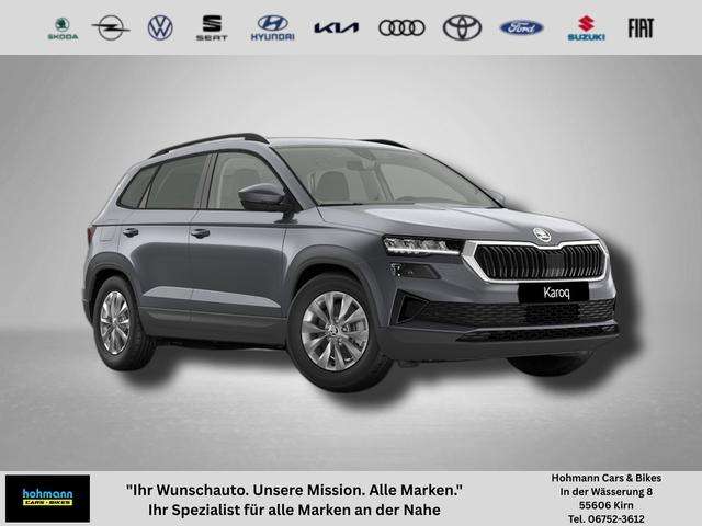 Fahrzeugbild eines Skoda Karoq