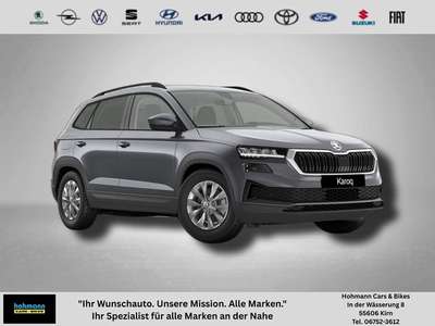 Bild Skoda Karoq
