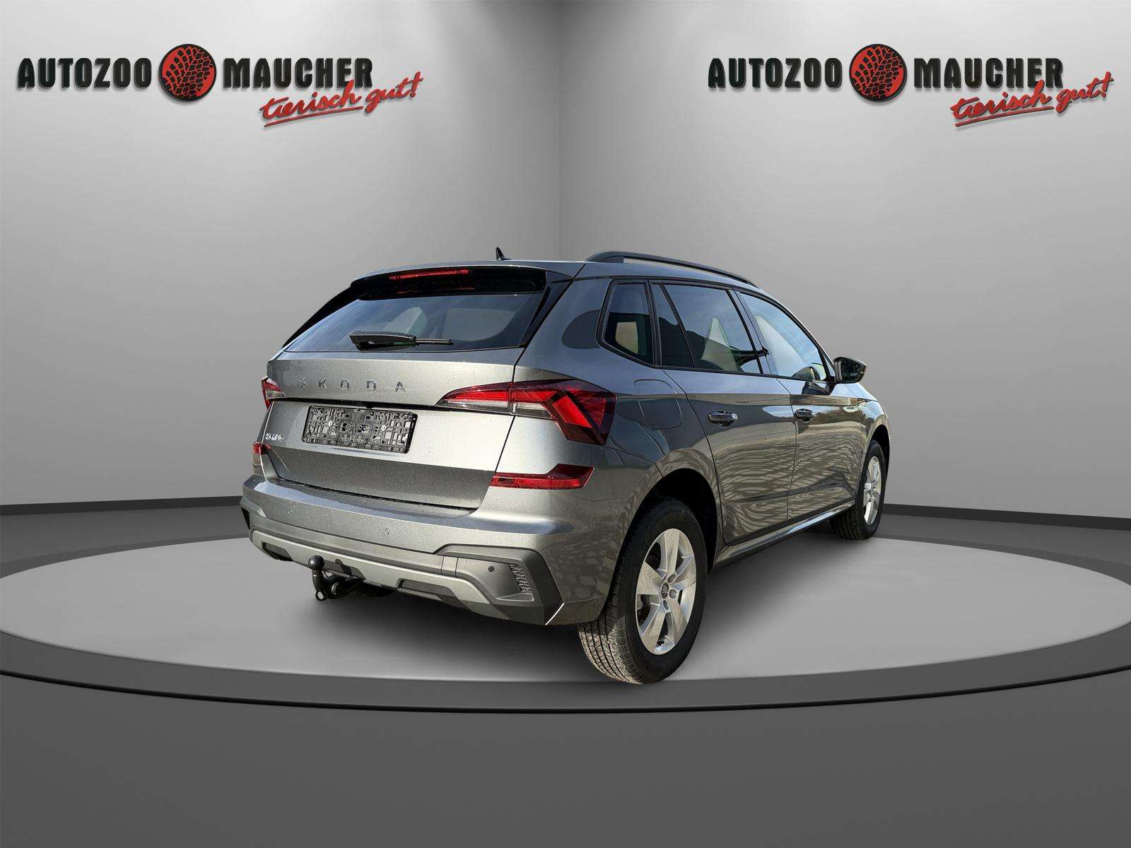 Fahrzeugbild eines Skoda Kamiq