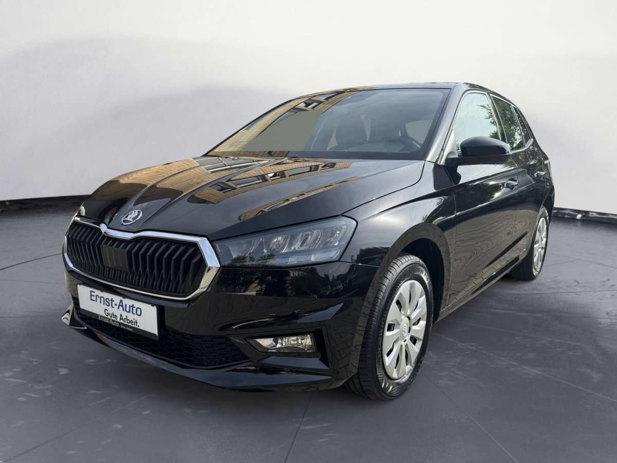 Fahrzeugbild eines Skoda Fabia