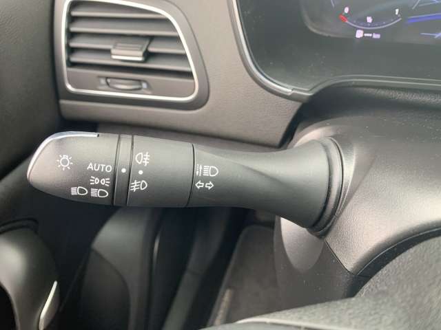 Fahrzeugbild eines Renault Mégane