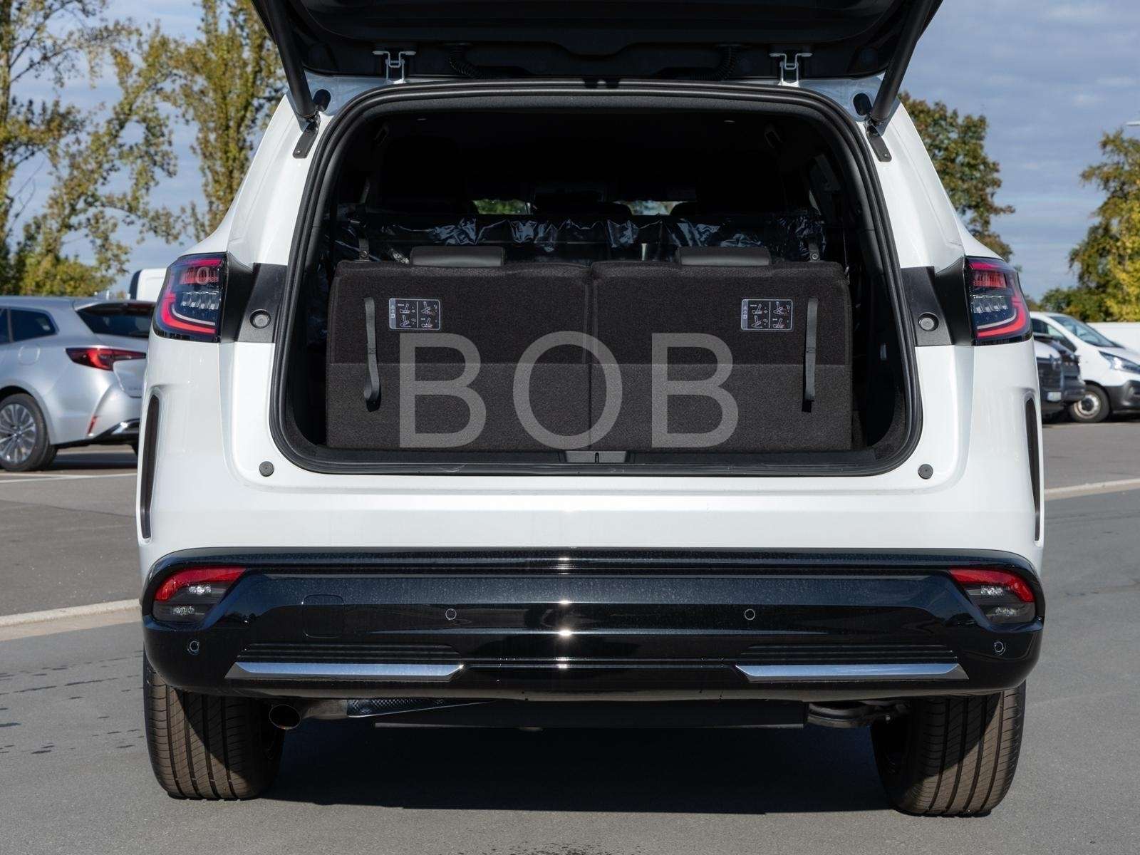 Fahrzeugbild eines Renault Espace