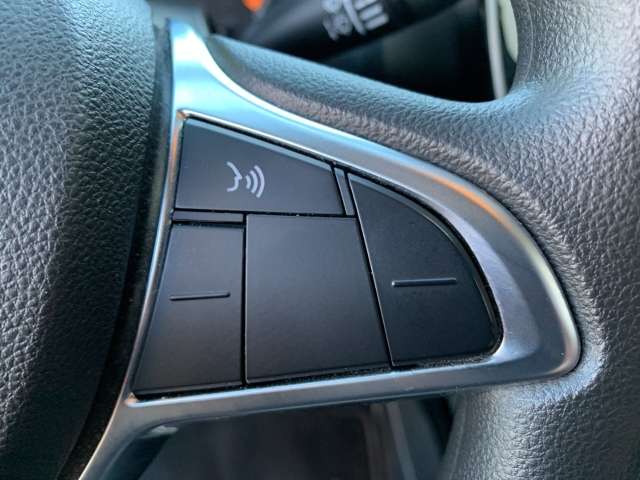 Fahrzeugbild eines Dacia Spring