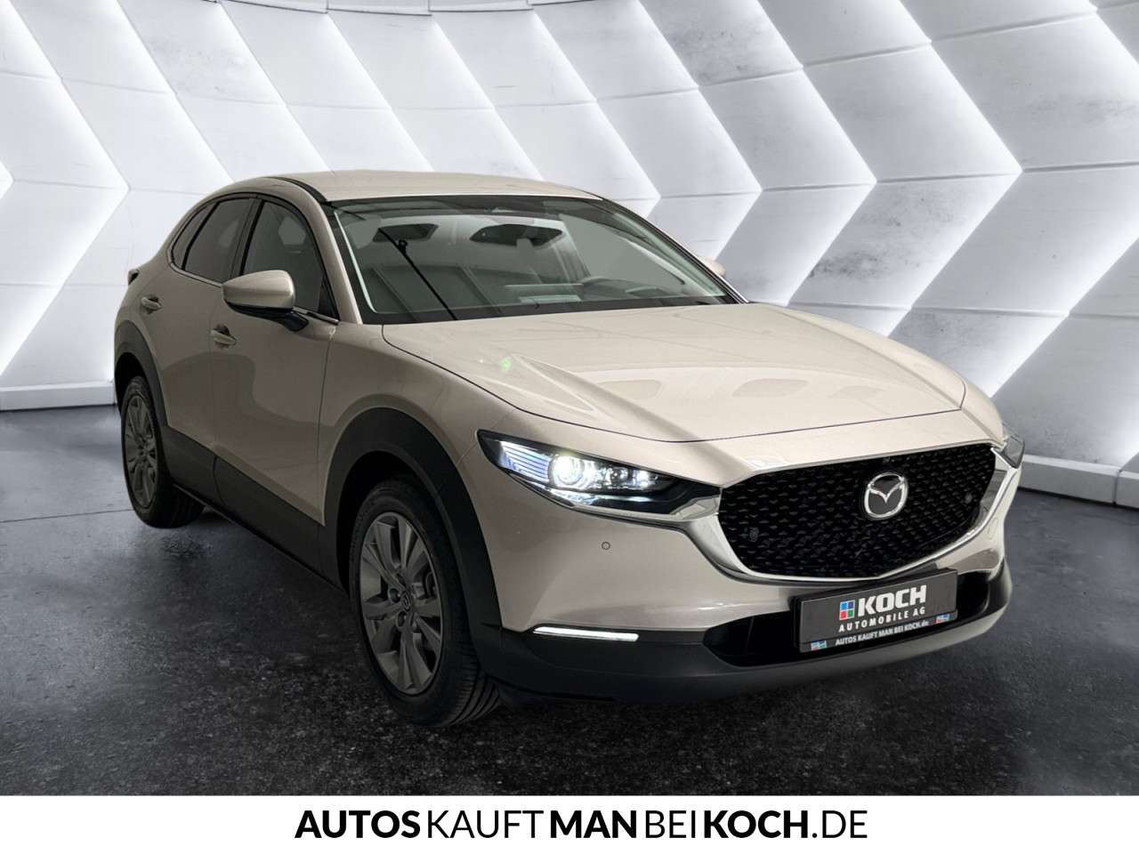 Fahrzeugbild eines Mazda CX-30
