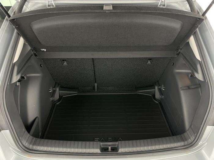 Fahrzeugbild eines Skoda Fabia