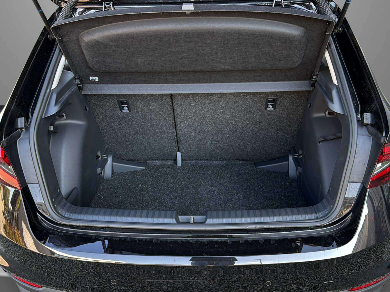 Fahrzeugbild eines Skoda Fabia