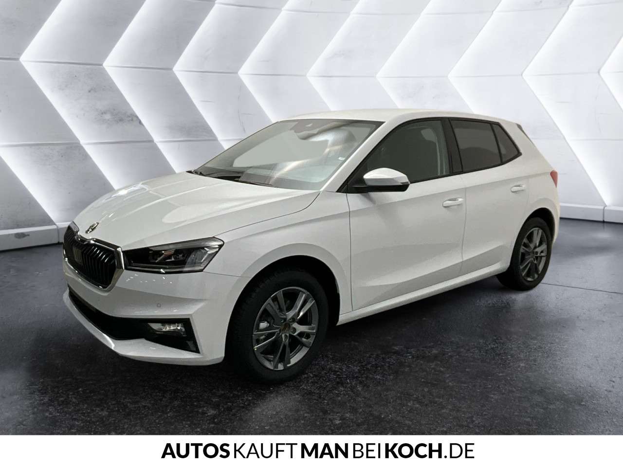 Fahrzeugbild eines Skoda Fabia