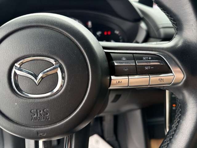 Fahrzeugbild eines Mazda MX-30