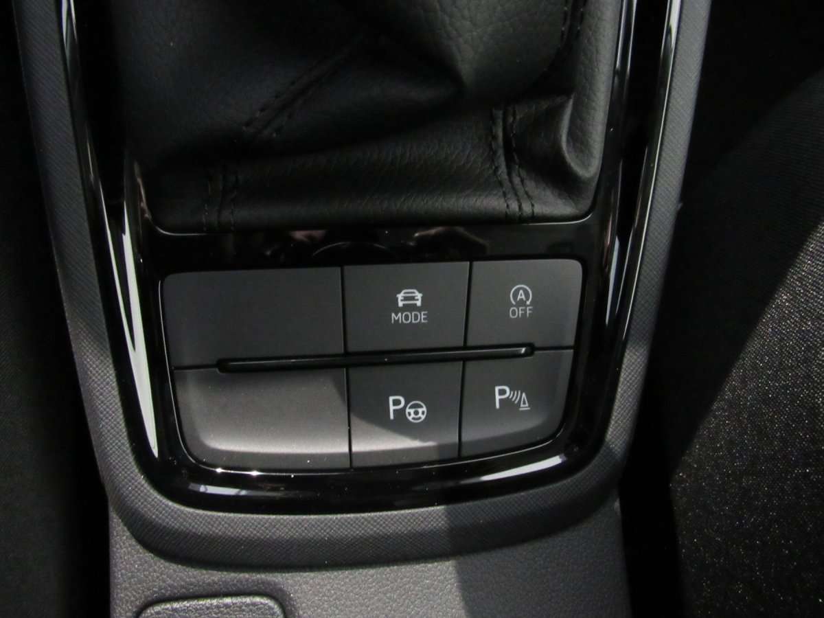Fahrzeugbild eines Skoda Kamiq
