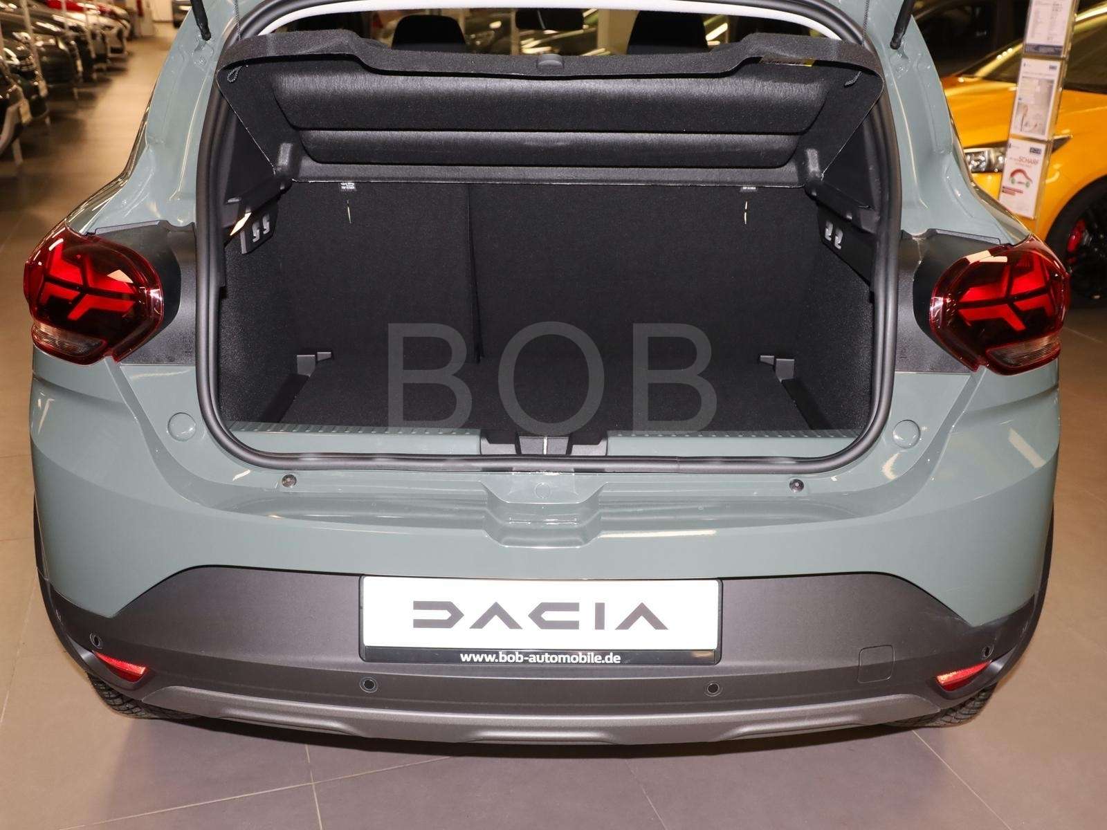 Fahrzeugbild eines Dacia Sandero