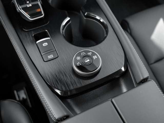 Fahrzeugbild eines Nissan X-TRAIL