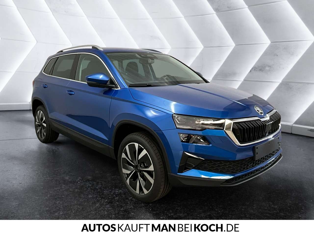 Fahrzeugbild eines Skoda Karoq