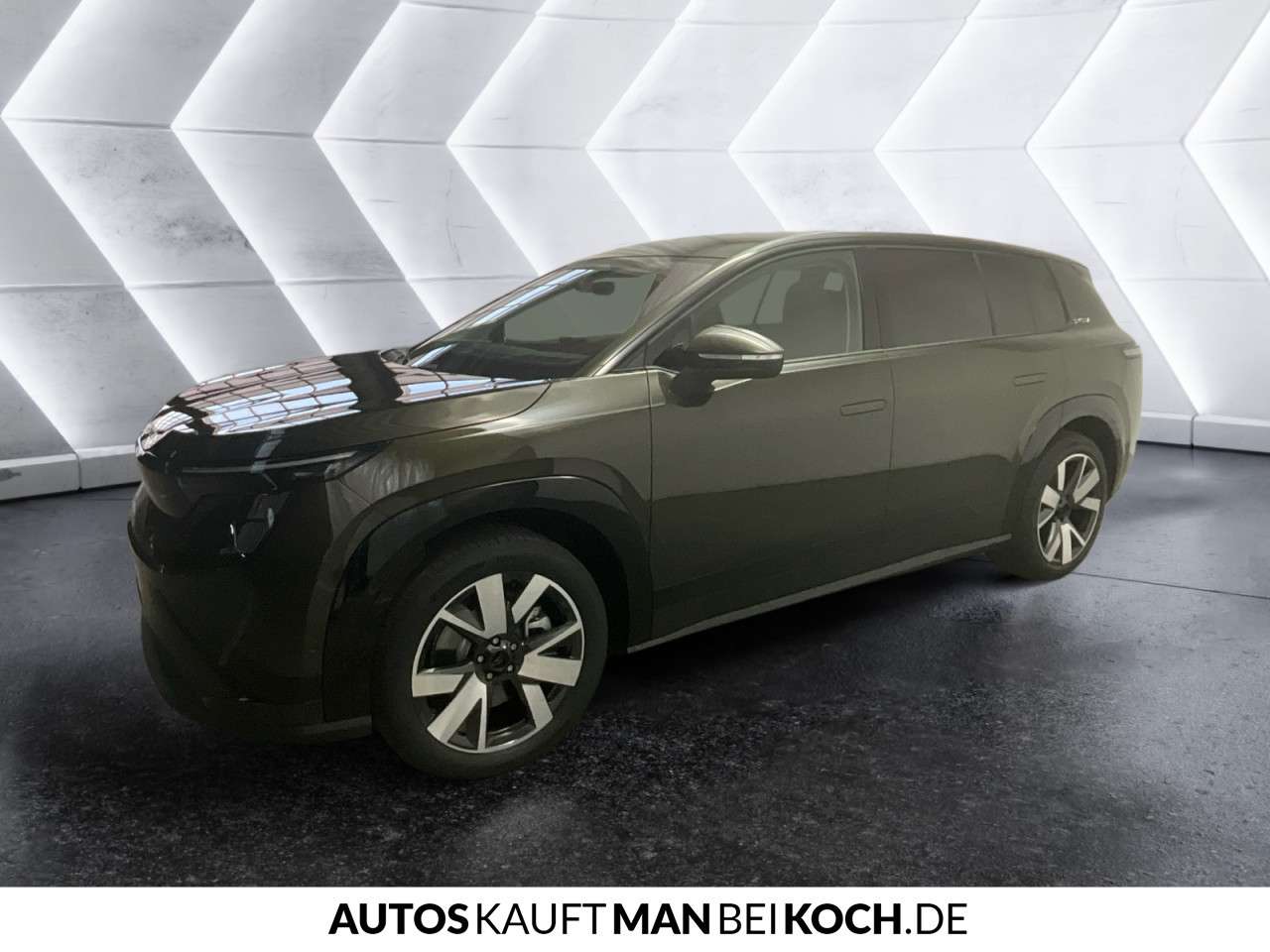Fahrzeugbild eines Skoda Peaq
