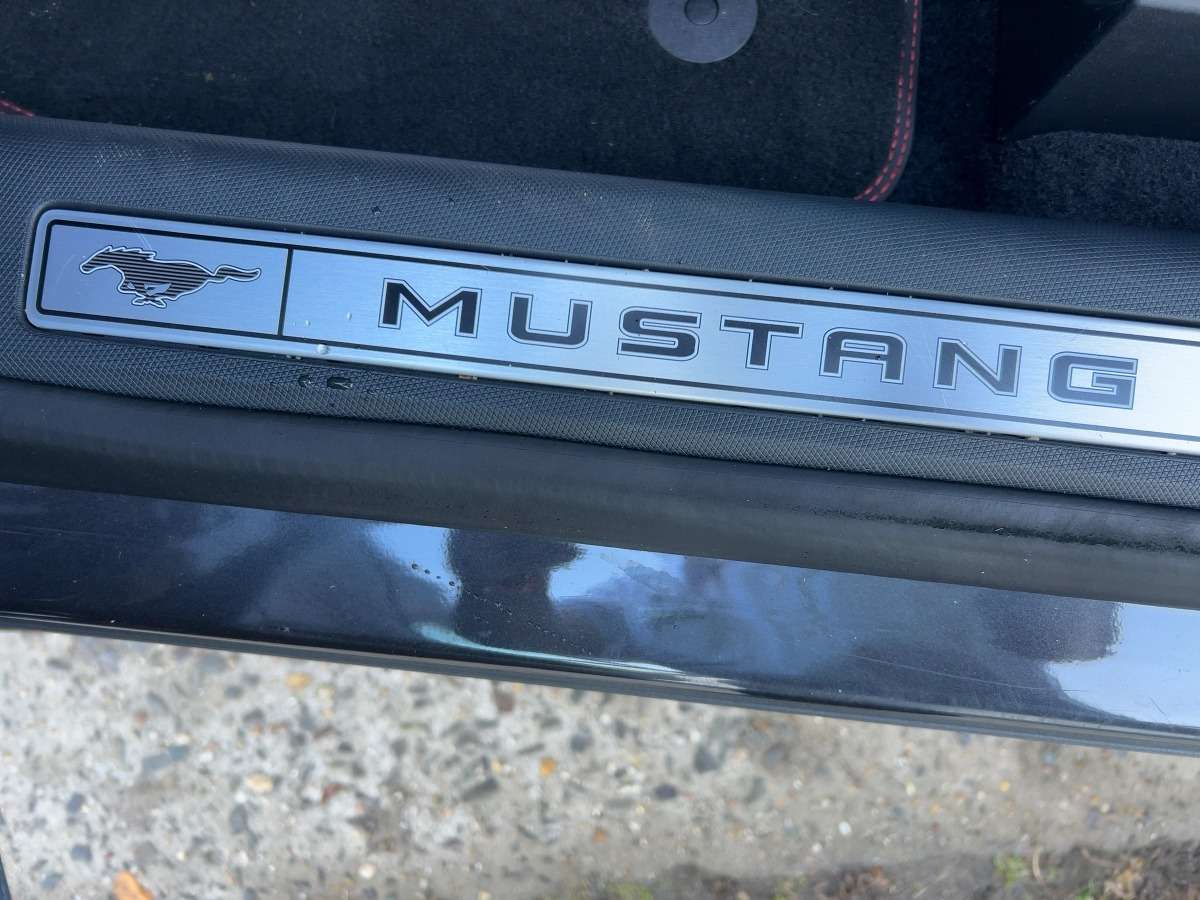 Fahrzeugbild eines Ford Mustang Mach-E