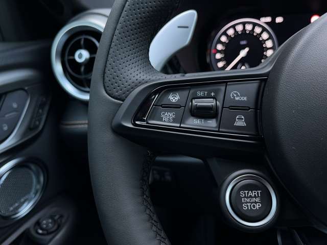 Fahrzeugbild eines Alfa Romeo Tonale