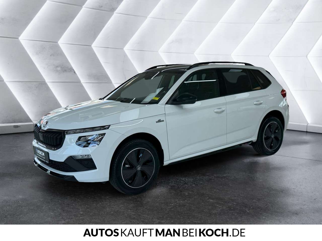Fahrzeugbild eines Skoda Kamiq