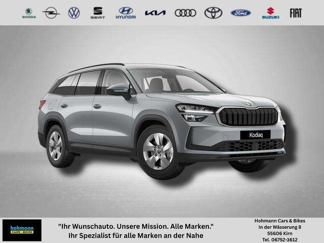 Fahrzeugbild eines Skoda Kodiaq