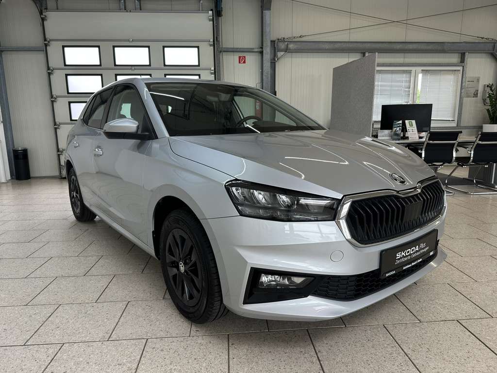 Fahrzeugbild eines Skoda Fabia