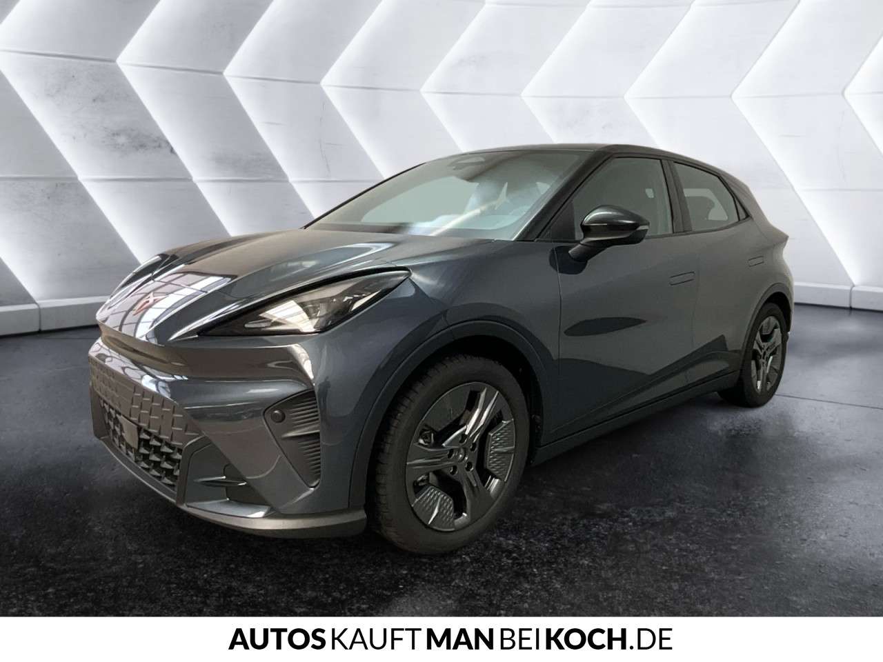 Fahrzeugbild eines CUPRA Raval