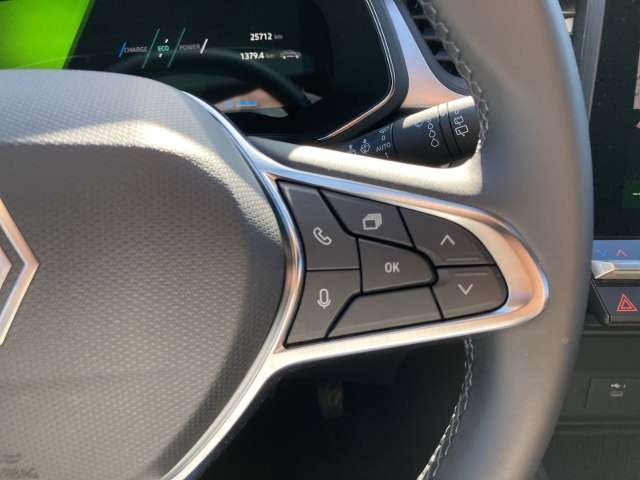 Fahrzeugbild eines Renault Symbioz