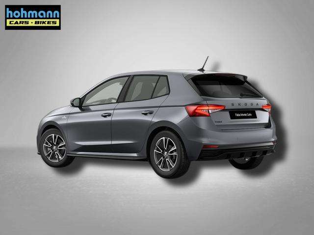 Fahrzeugbild eines Skoda Fabia