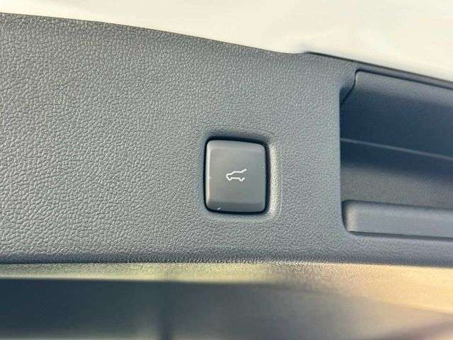 Fahrzeugbild eines Ford Kuga
