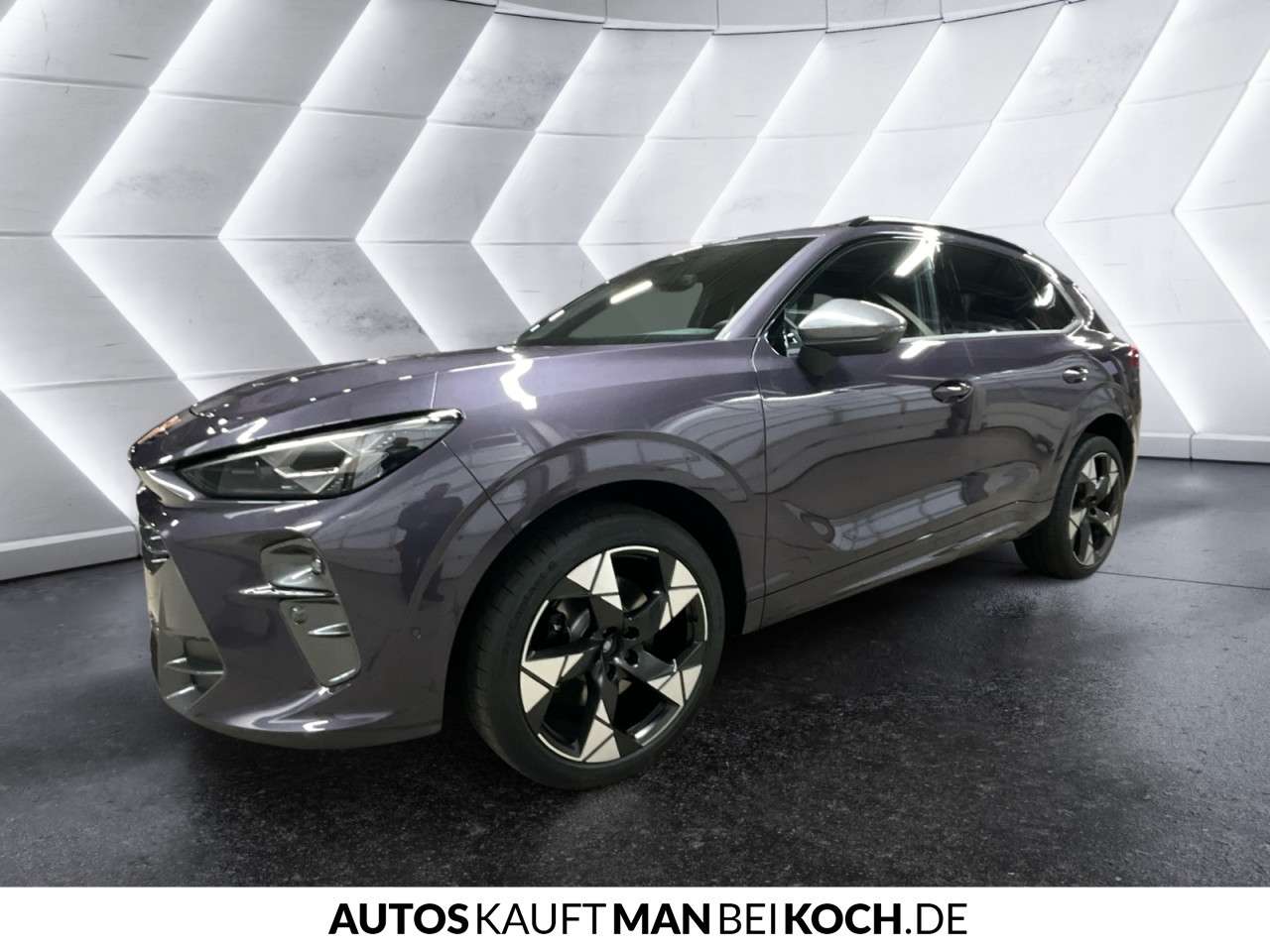 Fahrzeugbild eines CUPRA Terramar