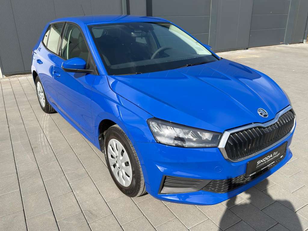 Fahrzeugbild eines Skoda Fabia