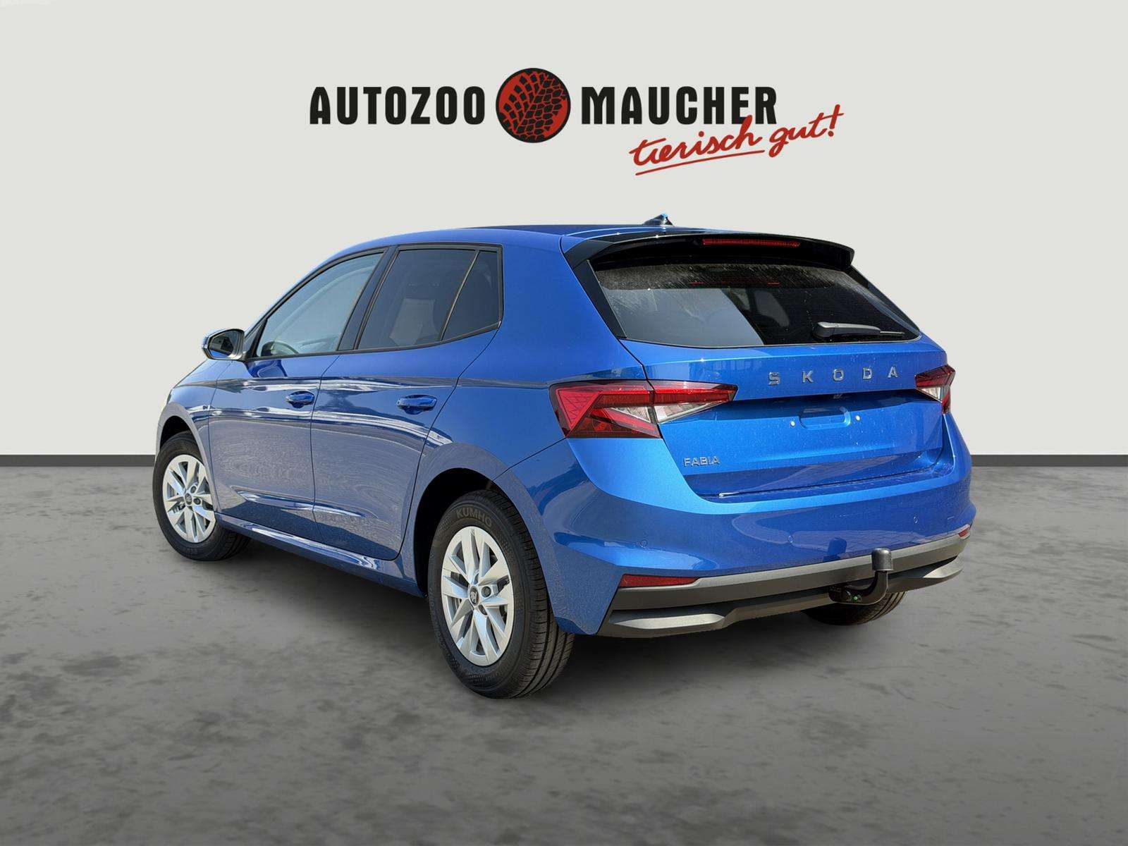 Fahrzeugbild eines Skoda Fabia