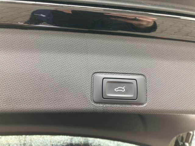 Fahrzeugbild eines CUPRA Terramar