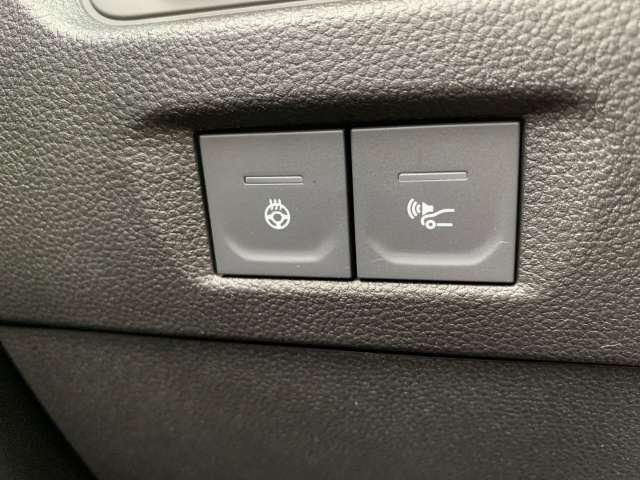 Fahrzeugbild eines Renault ZOE