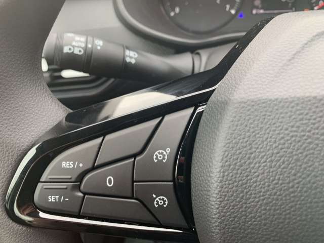 Fahrzeugbild eines Dacia Sandero