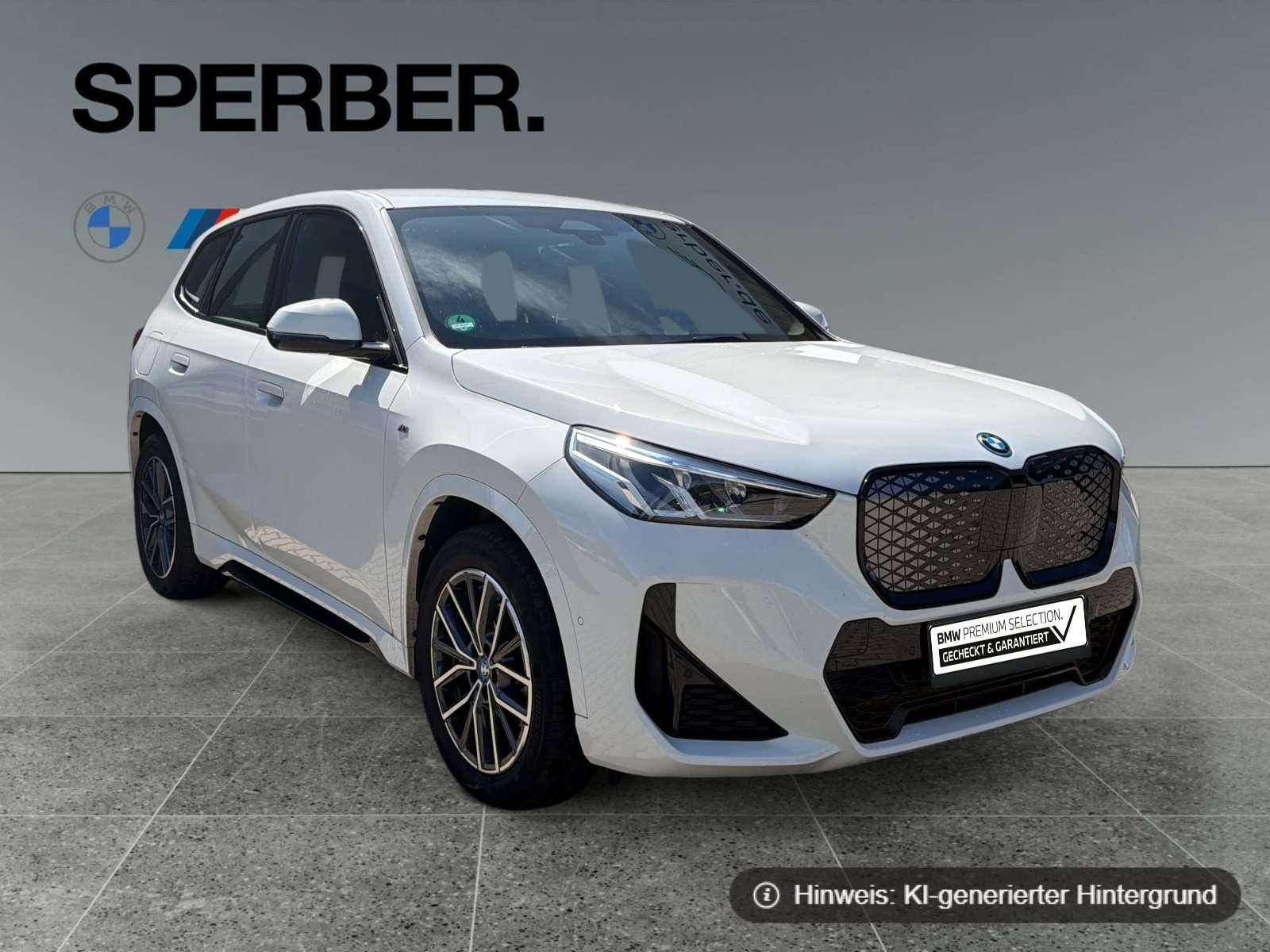 Fahrzeugbild eines BMW iX1
