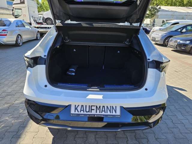 Fahrzeugbild eines Renault Rafale