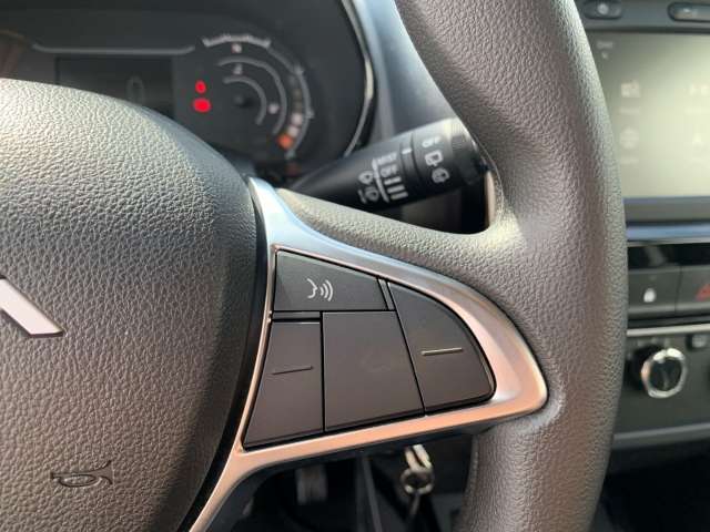 Fahrzeugbild eines Dacia Spring